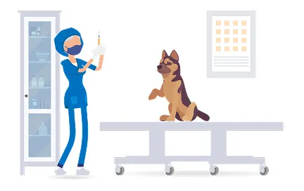 Veterinářka v modrém oblečení s injekční stříkačkou stojí vedle vyšetřovacího stolu, na kterém sedí hnědý pes